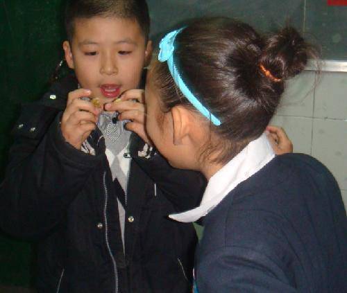 ɹɹ���ǵĵ��Ľ���������