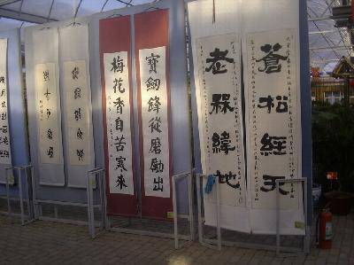 ����÷�۵�չ����