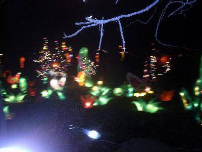 ����÷�۵�չ����