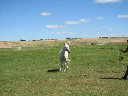 ���ǰ���������