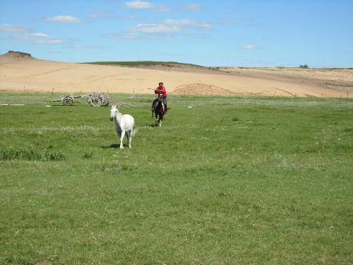 ���ǰ���������