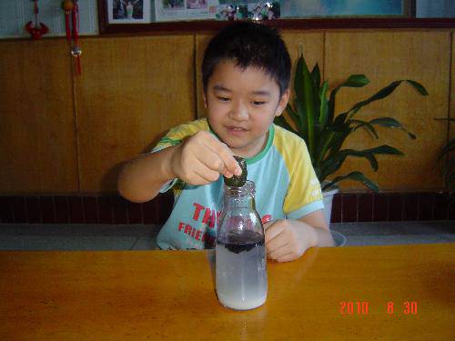 ��ѧСʵ�飨ʮ�ģ�ά����C����������