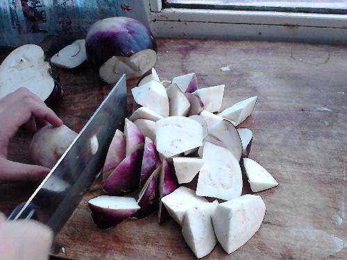 ����ϵĺ��١���ѧ��������������