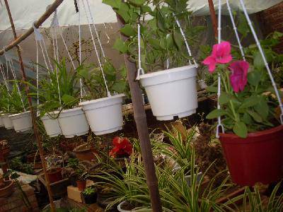 �仨���г�����