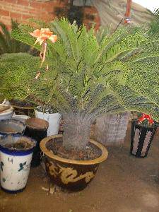 �仨���г�����