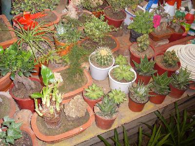 �仨���г�����