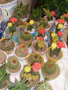 �仨���г�����