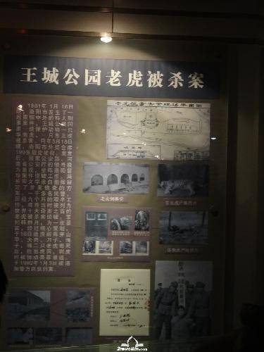 ���񾯲� ���ٶ���ʥ�����ι��������첩�������