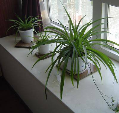 ��֪�ı�������