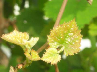 ¶̨�ϵġ����ӡ�����