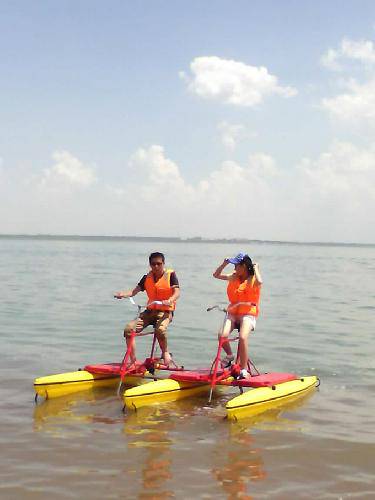 ���ĩ�೵��������ƪ����