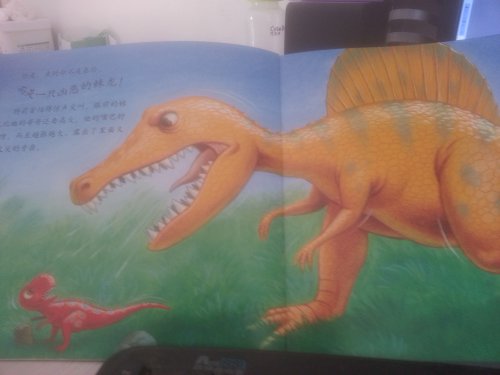 ���������������----���ӹ�����ɽׯ���ģ�����