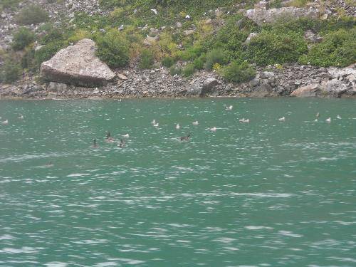 ��С���������¡�����֮�ã���������