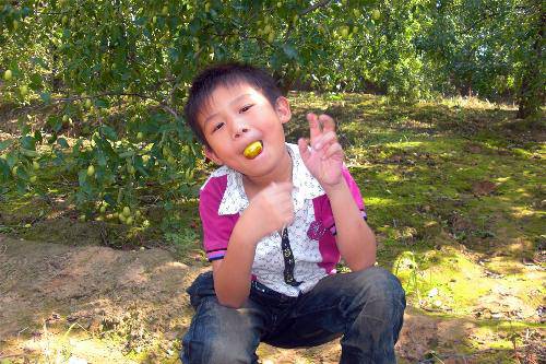 �����֦ͷ --�Ͷ���һ���߽���̬��ժ԰����