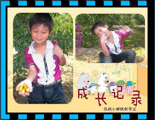 �����֦ͷ --�Ͷ���һ���߽���̬��ժ԰����