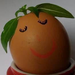 �������� ������������