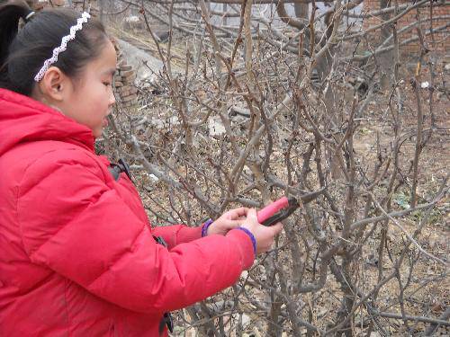 ���ټ��š�����������һ��������