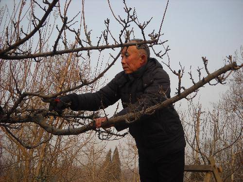 ���ټ��š�����������һ��������