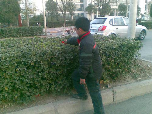 ��Ϊ��������һ��������