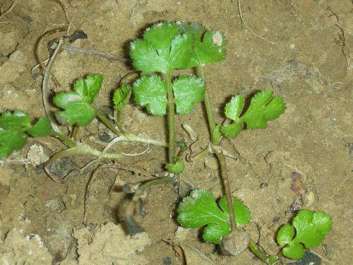 ¶̨��������