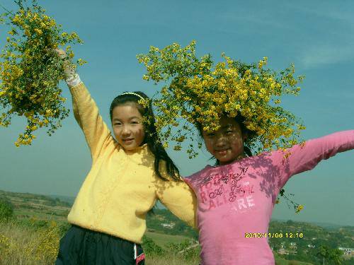 Ұ�ջ���԰����