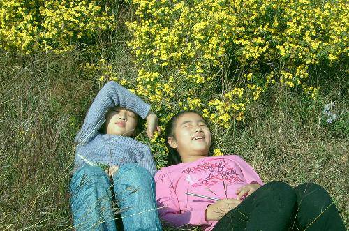 Ұ�ջ���԰����