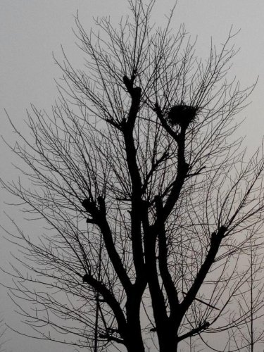 �붬�������