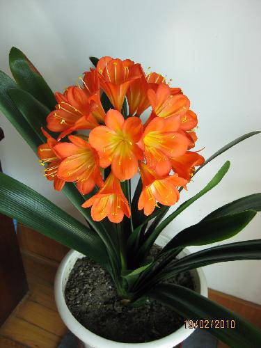 ������Ȥ��֮�������ͻ�ƪ������������Ҽ�����