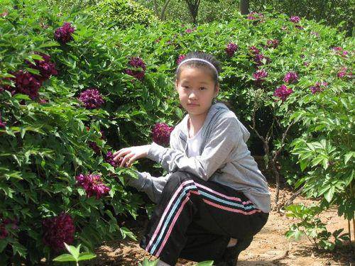 ����������԰����