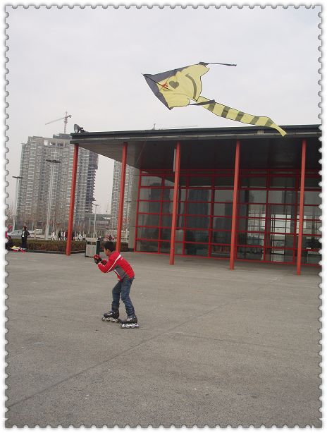 ���ݷ��ݷɷ�(����ͼ������