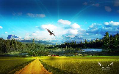 ������������