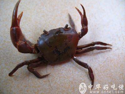 �Ҽҵ�С�з����