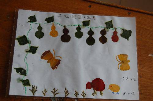 ���ǵ�Ҷ����Ʒչ����������