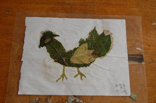 ���ǵ�Ҷ����Ʒչ����������