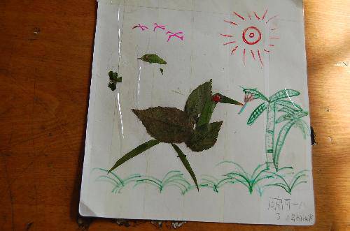 ���ǵ�Ҷ����Ʒչ����������