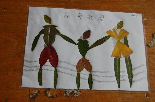 ���ǵ�Ҷ����Ʒչ����������