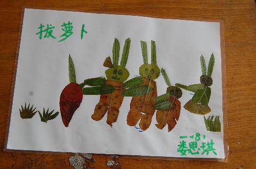 ���ǵ�Ҷ����Ʒչ����������