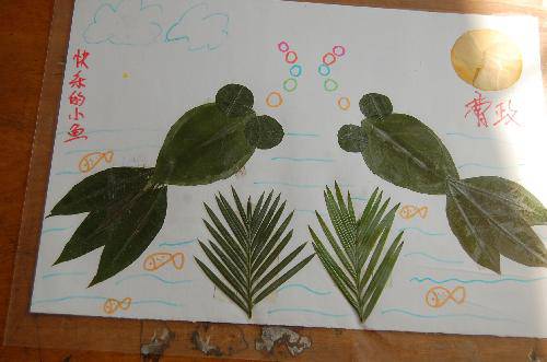 ���ǵ�Ҷ����Ʒչ����������