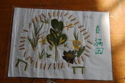 ���ǵ�Ҷ����Ʒչ����������