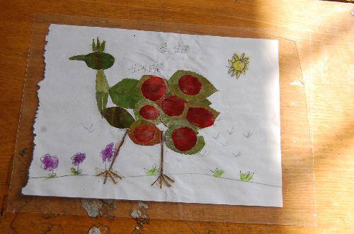 ���ǵ�Ҷ����Ʒչ����������