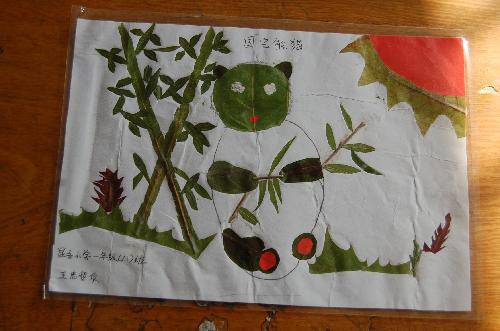 ���ǵ�Ҷ����Ʒչ����������