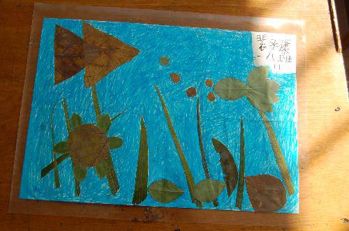 ���ǵ�Ҷ����Ʒչ����������