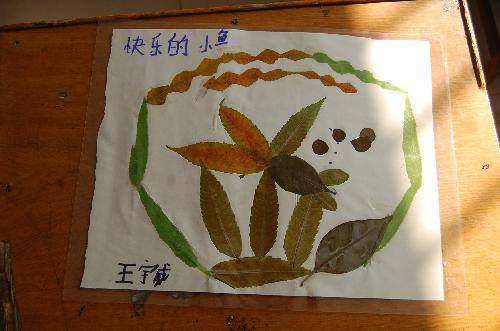 ���ǵ�Ҷ����Ʒչ����������