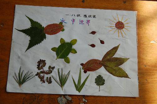 ���ǵ�Ҷ����Ʒչ����������