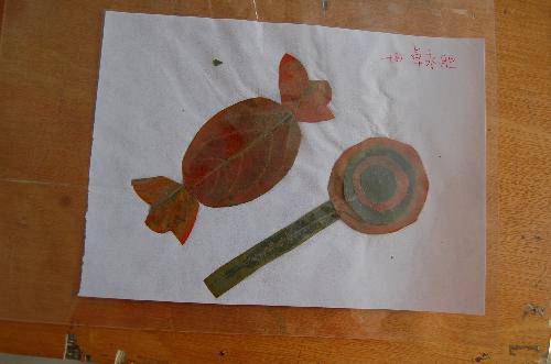 ���ǵ�Ҷ����Ʒչ����������