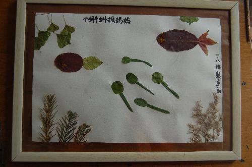 ���ǵ�Ҷ����Ʒչ����������