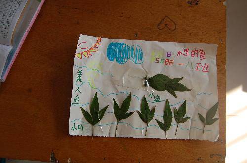 ���ǵ�Ҷ����Ʒչ����������