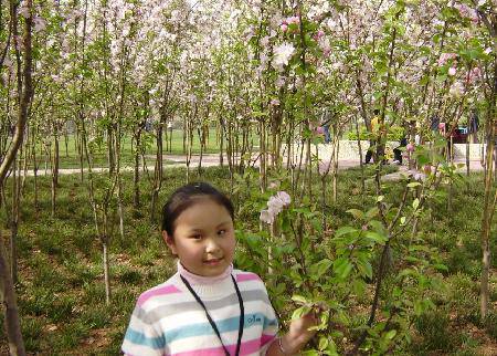 �ŷ���������