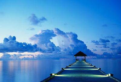 ����ϴ��������ӵġ��ǻ۽��ҡ��������ĵá�����