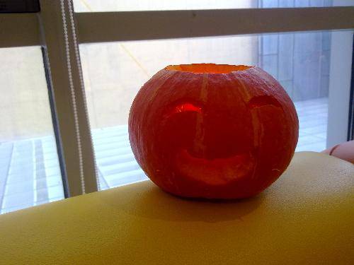 ÿ�˽�һ������������